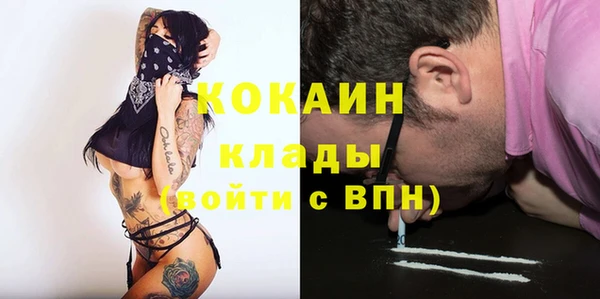 тгк Магас